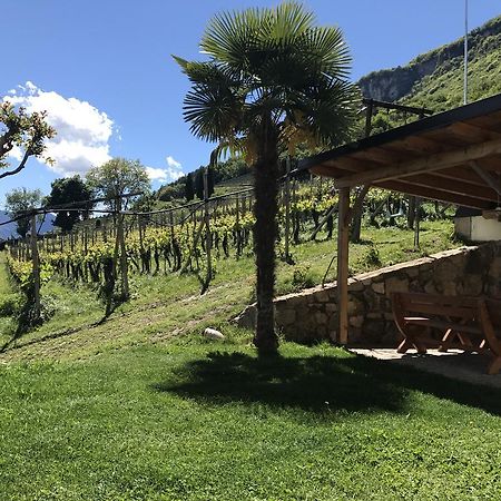 Weifnerhof Villa Termeno Ngoại thất bức ảnh